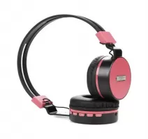 roze---988ae9f39d0244c8858fee41e855061238a9da4a.jpg