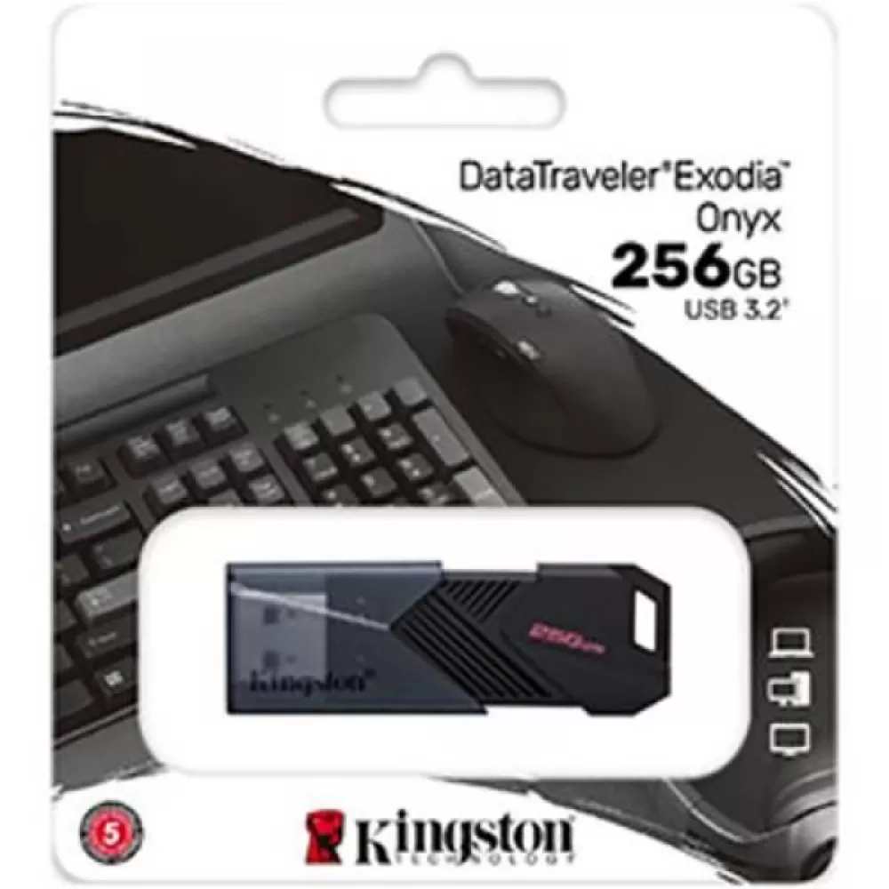 USB fles KINGSTON DTXON/256 GB