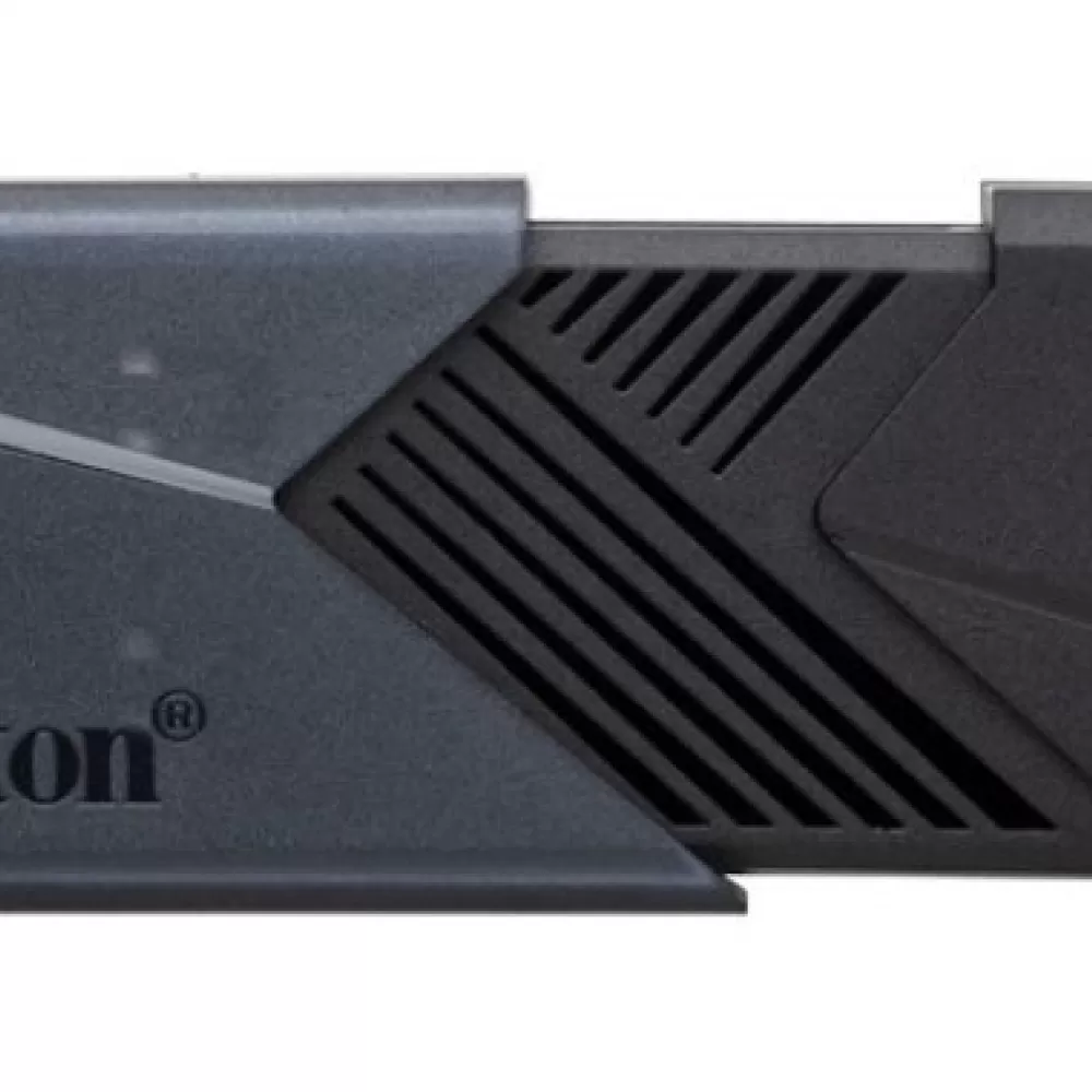 USB fles KINGSTON DTXON/256 GB