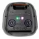 Xwave Party 8024 Bluetooth zvucnik TWS / 100W / FM / USB / TF / AUX /2 x 8'' / LED color