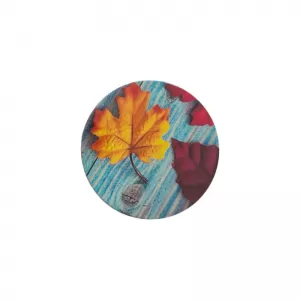 POP SOCKET No11