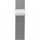 FORCELL F-DESIGN FS11 magnetna narukvica od nerdjajuceg celika za SAMSUNG Watch 22 mm srebrna