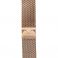 FORCELL F-DESIGN FS10 narukvica od nerdjajuceg celika za SAMSUNG Watch 22 mm zlatna