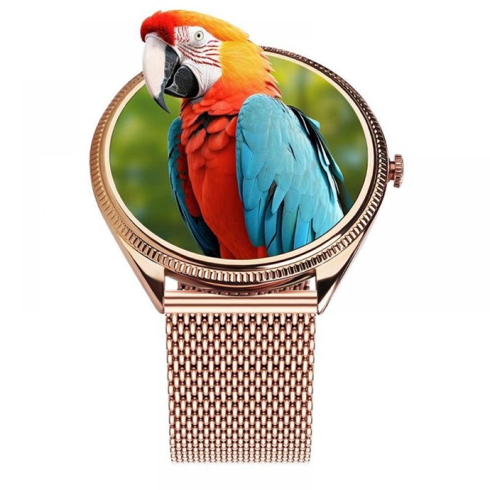 Pametni sat TITMO O-170 (AMOLED, bluetooth pozivi, stainless steel gold mesh narukvica) zlatni