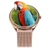 Pametni sat TITMO O-170 (AMOLED, bluetooth pozivi, stainless steel gold mesh narukvica) zlatni