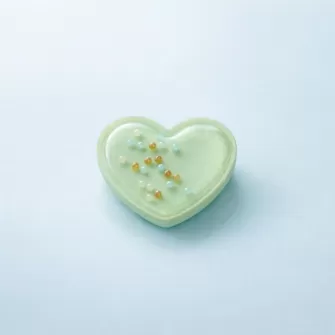 Pop Socket X-Cell Water No12