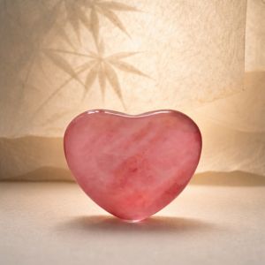 Pop Socket X-Cell Heart No13