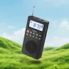 Prenosivi radio Hoco HI51 crni